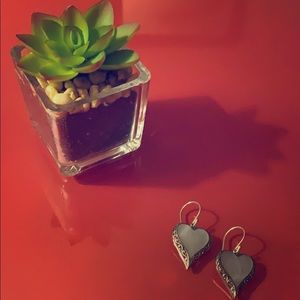 Beautiful Genuine Mother of Pearl Earrings